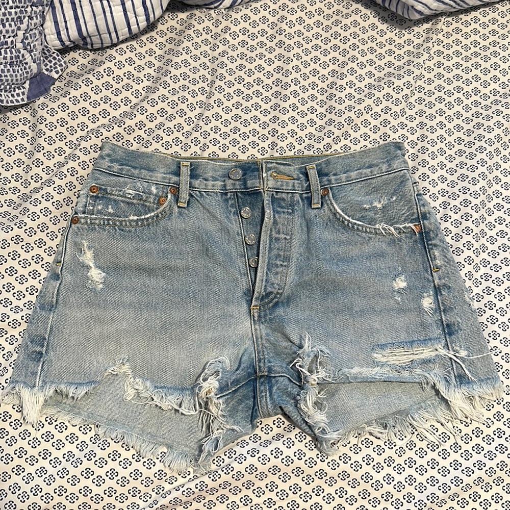 Agolde Parker Vintage Cut Off Short in Swampmeet